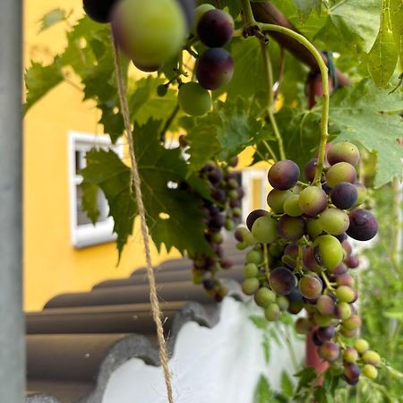 ボッパルトHaus Rheinlebenアパートメント エクステリア 写真